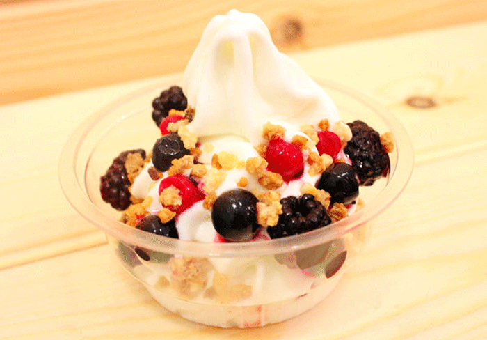 kimok-yogur-helado-frutos-rojos-2