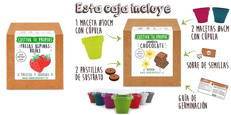 kit huerto urbano regalos para foodies